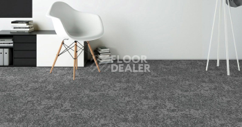Standard Carpets Sky Gardens 574 фото 2 | FLOORDEALER